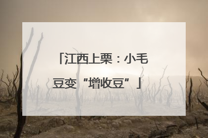 江西上栗：小毛豆变“增收豆”